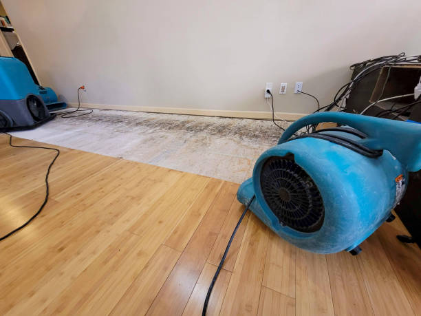 Professional Structural Drying technician working in Phillips, WI